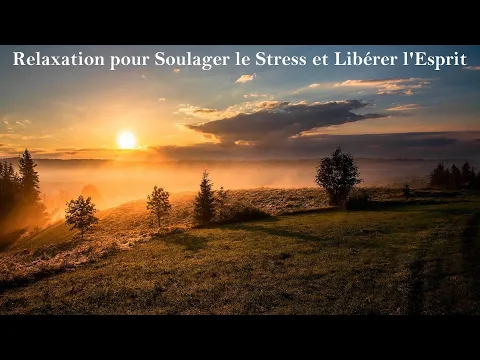 Download MP3 RELAXATION Intense pour Évacuer le Stress, les Pensées Négatives et Libérer l'Esprit • 5 Heures