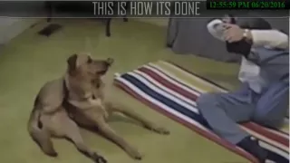 Top 10 FUNNIEST Gifs 2016