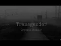 Download Lagu CRYSTAL CASTLES - TRANSGENDER (Slowed + Reverb)