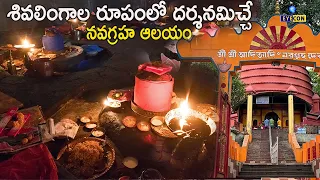 శివలింగాల రూపంలో దర్శనమిచ్చే నవగ్రహ ఆలయం.. | Navagraha Temple Guwahati | Nine Graha Lingams