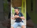 Download Lagu Tengkek Udang Super Jinak #shorts #burung #burungtengkekudang #burungtengkekjinak