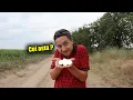 Download Lagu Mai pe scurt vorbind  Nuci de pe alta Paneta!