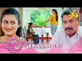 Paata Kurullo - පාට කුරුල්ලෝ | Episode 395 | 2025-11-13 | Hiru TV