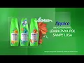 Download Lagu Iklan Rejois