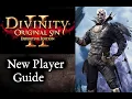 Divinity Original Sin 2 - New Player Guide