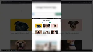 JavaScript Project Tutorial Building an Image Search App using JavaScript API