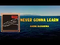 Asking Alexandria - Never Gonna Learn (Lyrics)