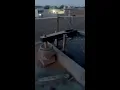 water Powered Pounder Corn mill live