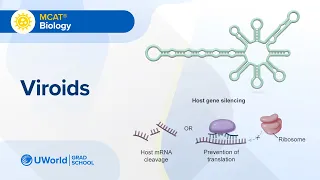 MCAT Biology Viroids