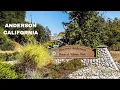 Anderson California - History population economy and more