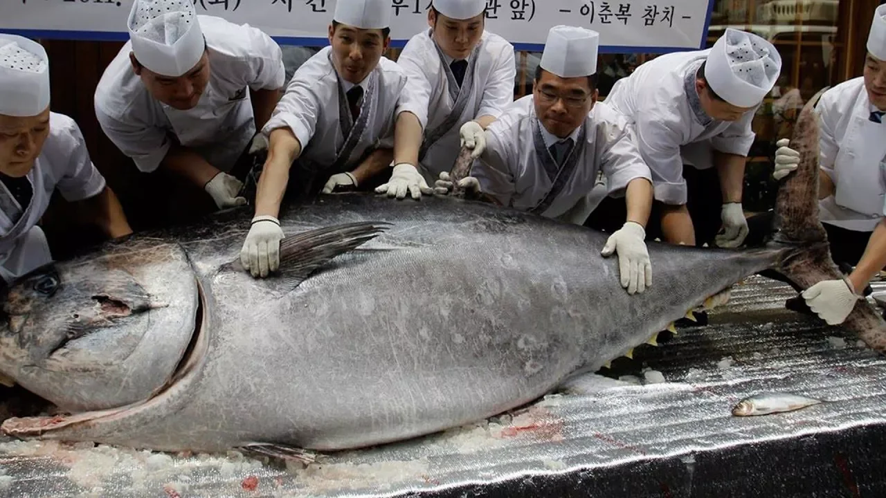 Amazing Super Fast Cutting And Slicing Knife Skills From Professionals   Skills Level 1000%   Sushi