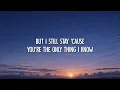 Cash Cash - Take Me Home (Lyrics) feat. Bebe Rexha