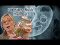The Amish Parasite Cleanse Recipe That s Taking Over - Part 1