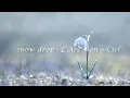 L'Arc~en~Ciel - snow drop | lyrics + vietsub