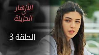 ORPHAN FLOWERS ARABIC DUBBED EPISODE 3 