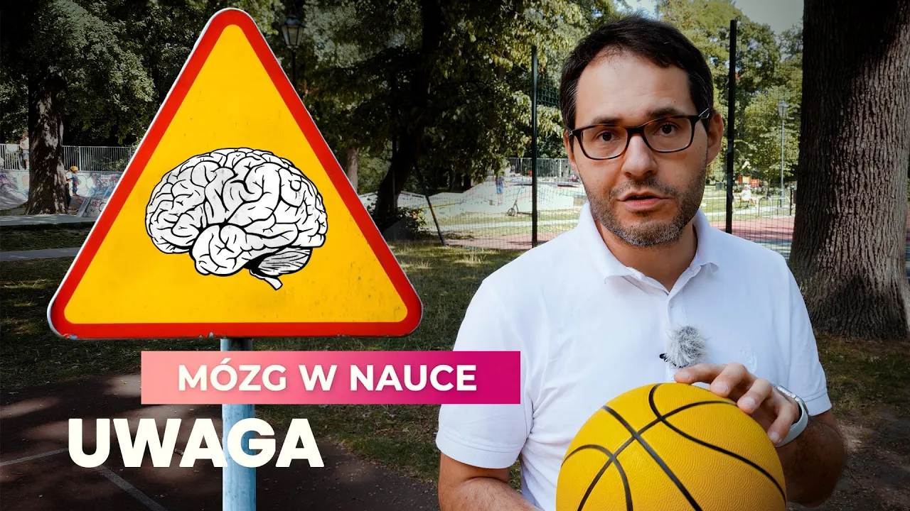 Uwaga | Mózg w nauce