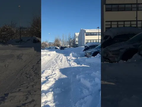 Winter snowfall beautiful 😻