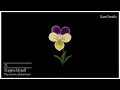 Sam Smith _ forgive myself