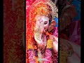 Lagu Ganesh Chaturthi 2025 Bappa Aagman Coming WhatsApp Status #ganpati #ytshorts #ganesh #mumbai #shorts