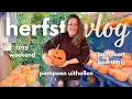 Download Lagu Cozy herfst weekend 🍁🎃 pompoenboerderij, pompoen uithollen, tapas + horror film, maskertje en meer