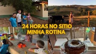 Mais um Passo no Nosso Sítio: Aumentou as Vacas + Rotina do Dia Inteiro