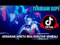 Download Lagu Dj Andai Waktu Bisa Ku Putar Kembali [ TERDIAM SEPI ] Breakbeat 2019