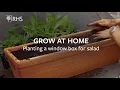 How to plant a window box for salad Grow at Home RHS