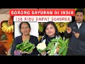 Borong Sayur Di India‼️Ratusan Ribu Dapat Banyak Berlimpah‼️