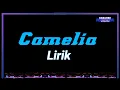 CAMELIA ( LIRIK ) - TASYA ROSMALA