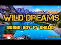 Lagu Burna Boy - Wild Dreams feat. Khalid -lyrics video