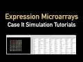 Running expression microarrays with the Case It simulation