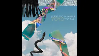 ulwaz no makhula yoyo feat tmo amapiano