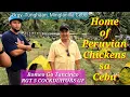 EP459 Home of Peruvian Chickens sa Cebu