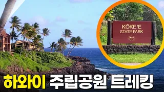 하와이 트레킹 [트레킹노트 세상을 걷다 440회] KBS 260117 방송