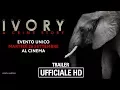 Video di Ivory - A Crime Story - Trailer Ufficiale Italiano | HD