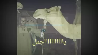 محمود سليم ياااجمل دندنها