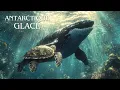 Download Lagu ANTARCTIQUE GLACÉ | Survie dans le monde des prédateurs géants | DOCUMENTAIRE ANIMALIER