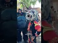 Download Lagu Lucu Kepala Macan Dipakai Dalang Singa Depok