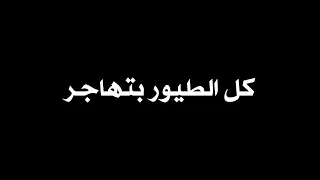 كل الطيور بتهاجر وبترجع ارضها شاشة سوداء بدون حقوق بدون موسيقى ترند التك توك  جديد دندنها