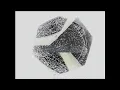 Feedback x Colby Park (Tundra Tides Visuals)