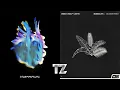 Vibration VS Bombalaya (Blooom Remix) - Sub Focus, AR/CO VS DNMO, Wolfy Lights [TranZcend Blend]