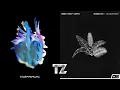 Download Lagu Vibration VS Bombalaya (Blooom Remix) - Sub Focus, AR/CO VS DNMO, Wolfy Lights [TZ Mashup]
