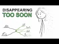 Why Women Start Disappearing Before They Get Old