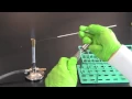 Aseptic Technique