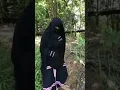 masih otw pantai , malah kebelet di tengah hutan !!! ukhti cantik pemersatu bangsa