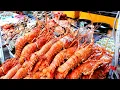 Lagu 랍스타가 단돈 2만원입니다! 맛없으면 공짜!?  '갓성비' 베트남 야시장 해산물! / Vietnam Night Market | Vietnam Street Food