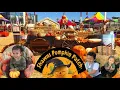 SHAWN S PUMPKIN PATCH CULVER CITY CA