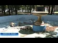 Download Lagu A destroyed fountain in Shevchenko Park: a case of vandalism was recorded in Lozova