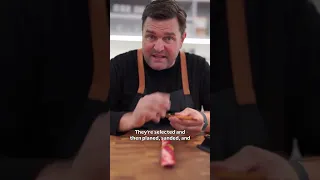                    دندنها