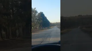 طريق ابيض مجاجة الشلف 